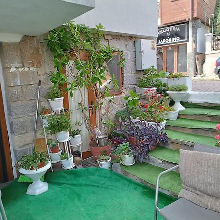 Farlalievi Guest House Sozopol Exterior photo